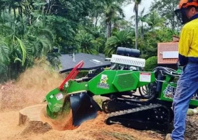 Stump Grinding Mick Trees Gold Coast