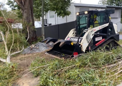 Land Clearing Bush