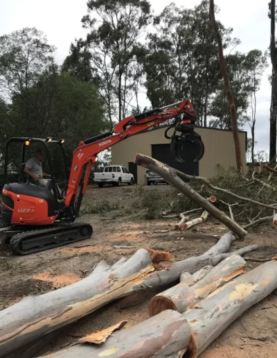 tree-cutting-mick-brewer