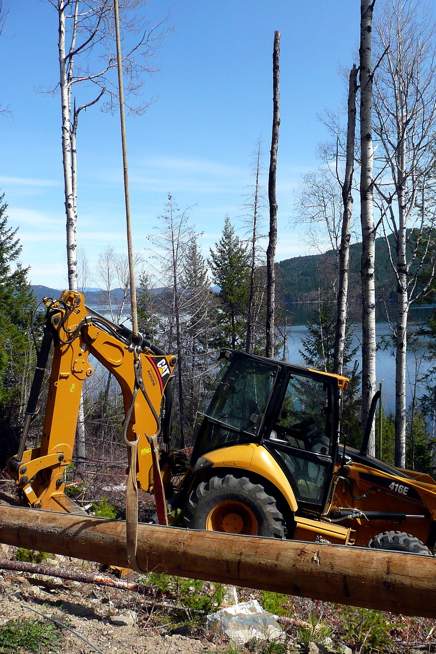 Land Clearing with trees