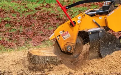 Why Grinding Is The Best Way To Remove Your Tree Stumps