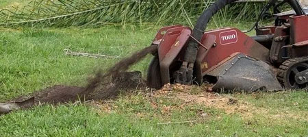 stump grinding gold coast